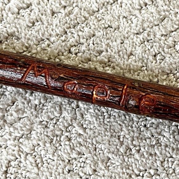 Striped Maple Moosewood Cut Walking Trekking Stick Twist Staff Hiking Maine Cane - Picture 8 of 16